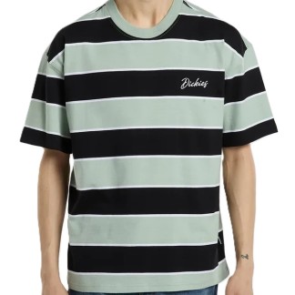 dickies-camiseta-DK0A8CVPB87-1