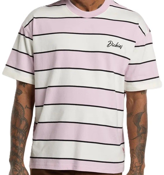 dickies-camiseta-DK0A8CVPECR-1