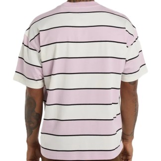 dickies-camiseta-DK0A8CVPECR-2
