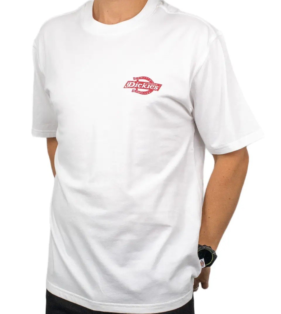 dickies-camiseta-6981_2048x2049